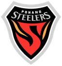 Escudo de Pohang Steelers (Corea del Sur)