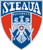 Escudo de Steaua Bucarest (Rumania)