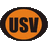 Escudo de Unión San Vicente