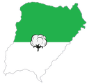 Escudo de Textil Mandiyú
